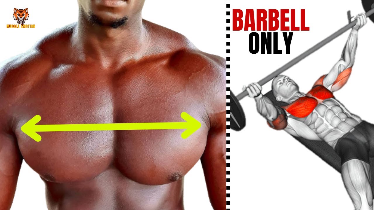 5  BEST CHEST  WORKOUT WITH BARBELL ONLY  AT GYM