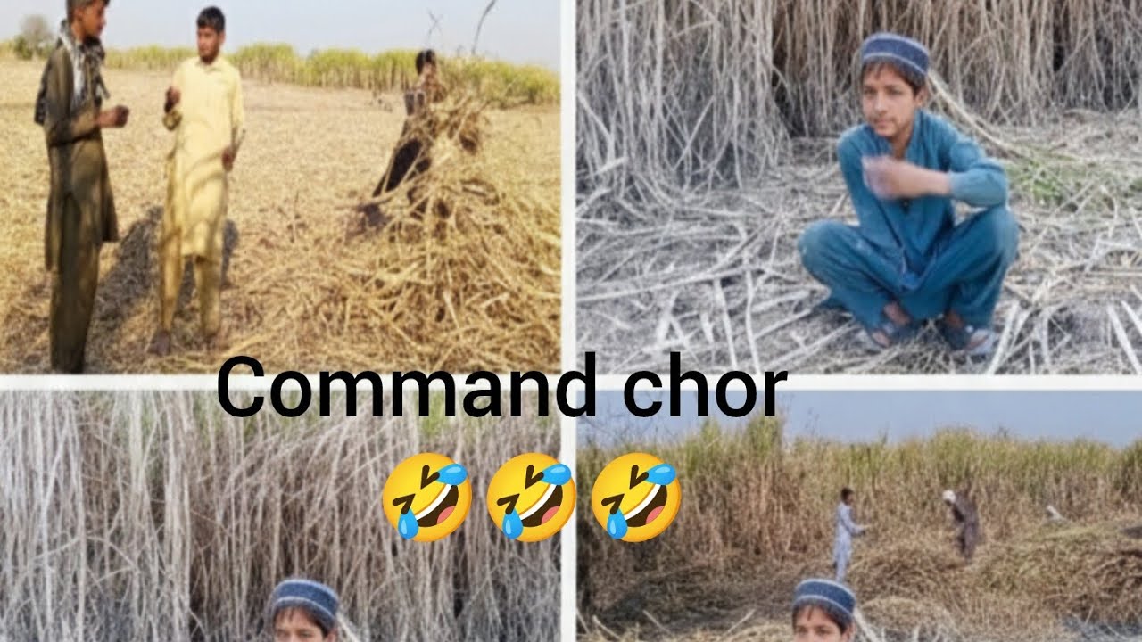  udhar# se command wala pareshan# hai aur idhar# se uska munshi pareshan hai usko# tankhvah Nahin🤣🤣🤣