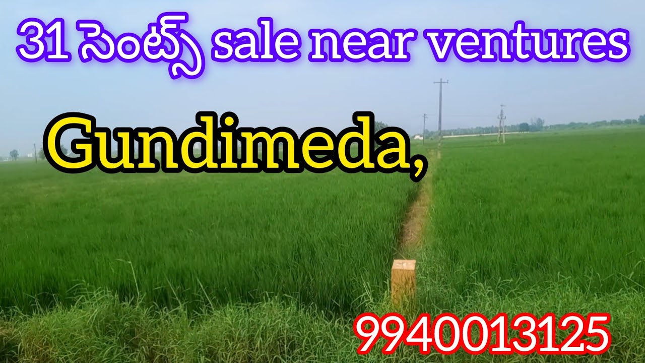 31 సెంట్స్ sale in Gundimeda,తాడేపల్లి, అపార్ట్మెంట్,villa ప్రాజెక్ట్స్ దగ్గరలో-9940013125- AD-187