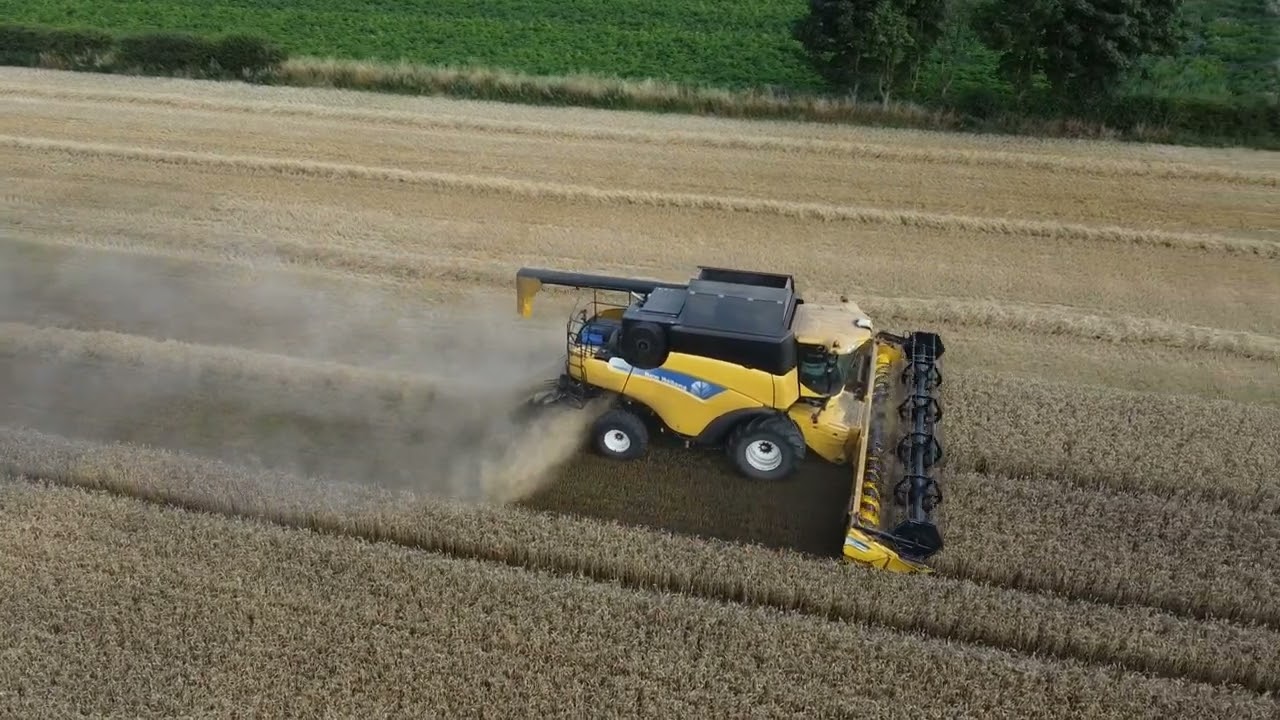 New Holland CR9080 Combine Harvester in Action  - 2022 Harvest Burscough Lancashire