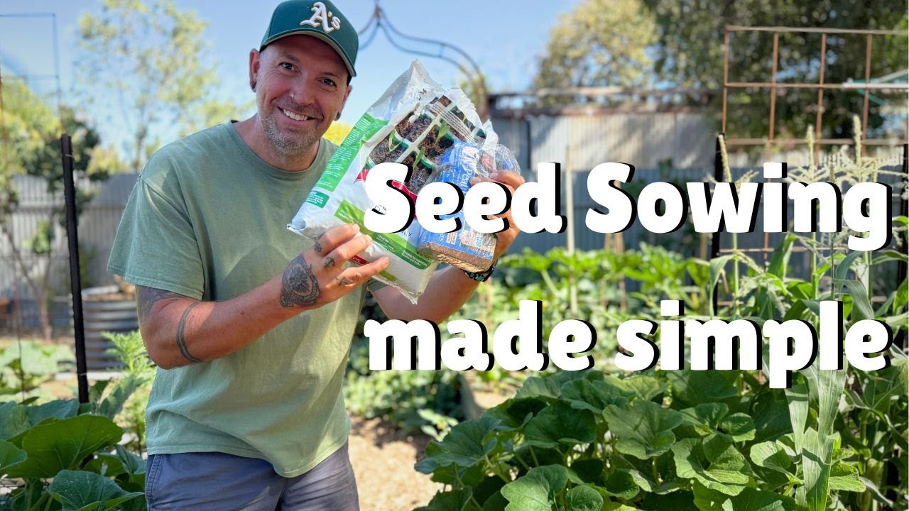 SOW seeds like a PRO: Expert advise for GARDENERS