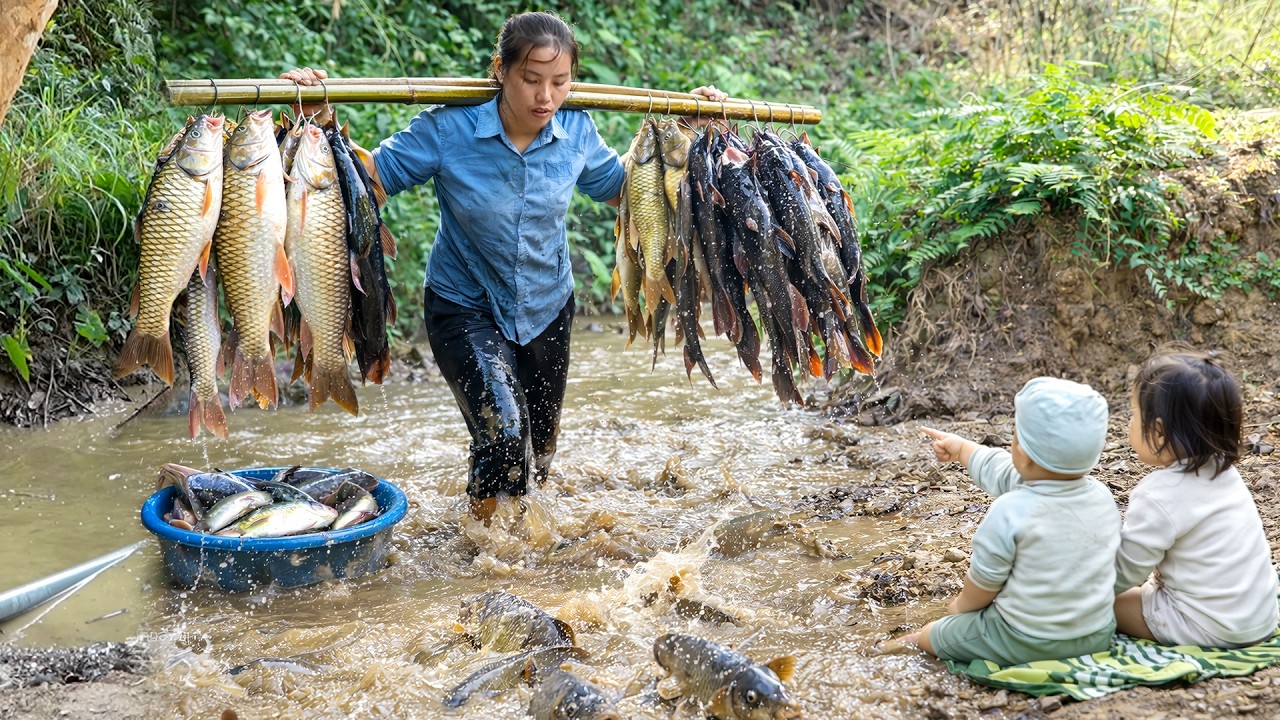 Fishing in creek: Hand-catching monster catfish & huge carp for sale – Grilling fish for my children