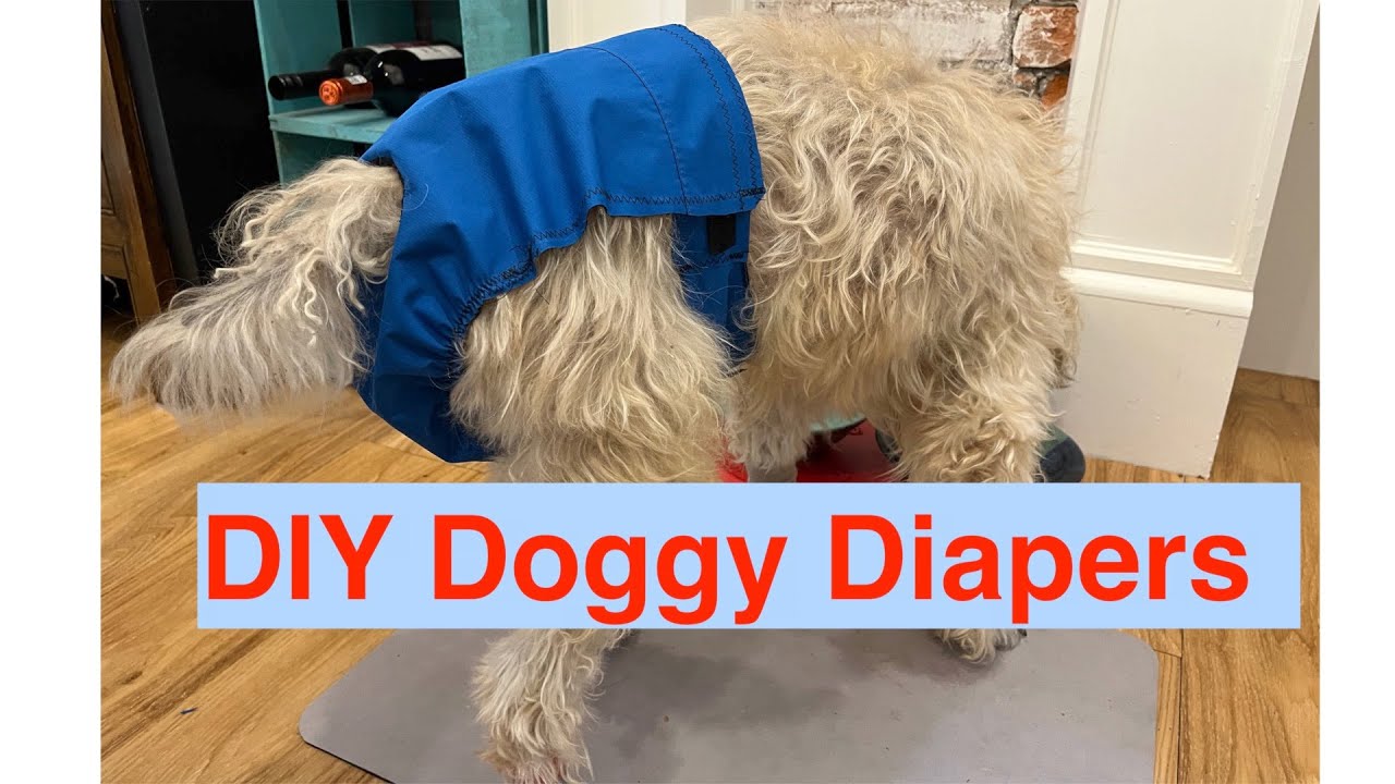 DIY Dog Diapers (urinary incontinence) It's a game changer!