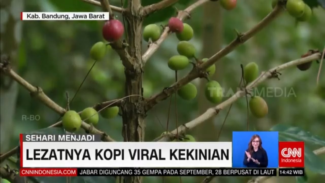 Lezatnya Kopi Viral Kekinian | REDAKSI AKHIR PEKAN (03/10/21)