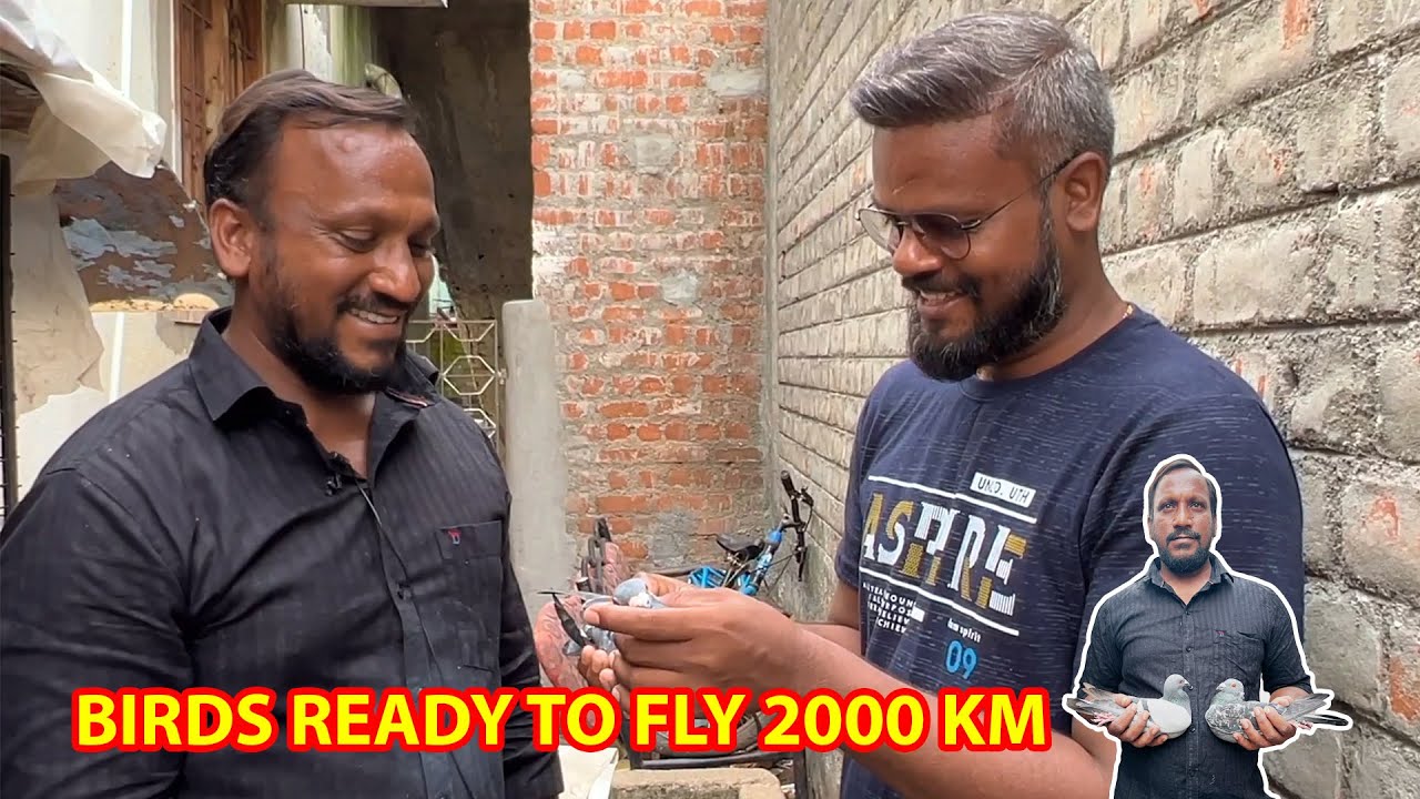 பந்தயத்துக்கு தயாரான Nawab Bhai புறாக்கள் Loft Visit | Racing Pigeons