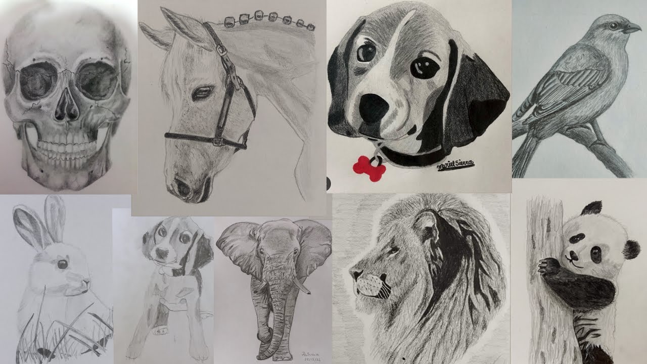 Dibujos de suscriptores ^^ #6