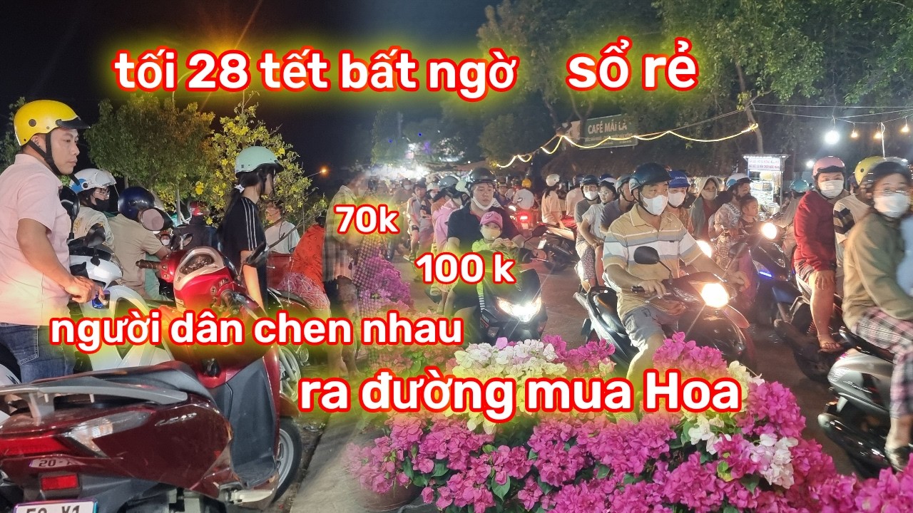 Tối 28 Tết Hóc Môn Song Hành Chợ Hoa Bùng Nổ Sổ Rẻ  / Chợ Tết 2026 