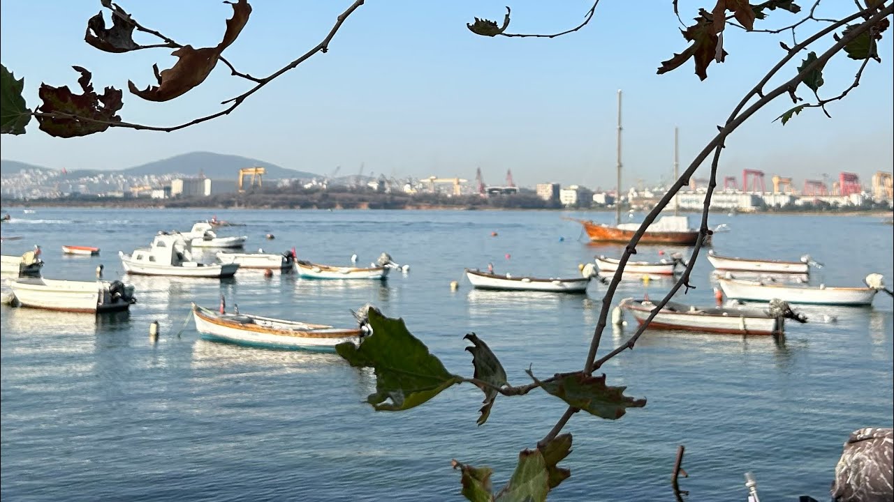 Tuzla Mercan Koyu.