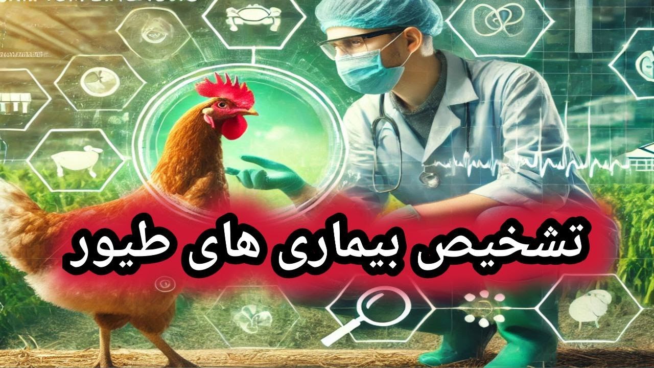 تشخیص بیماریهای طیور ,  بیماری های طیور