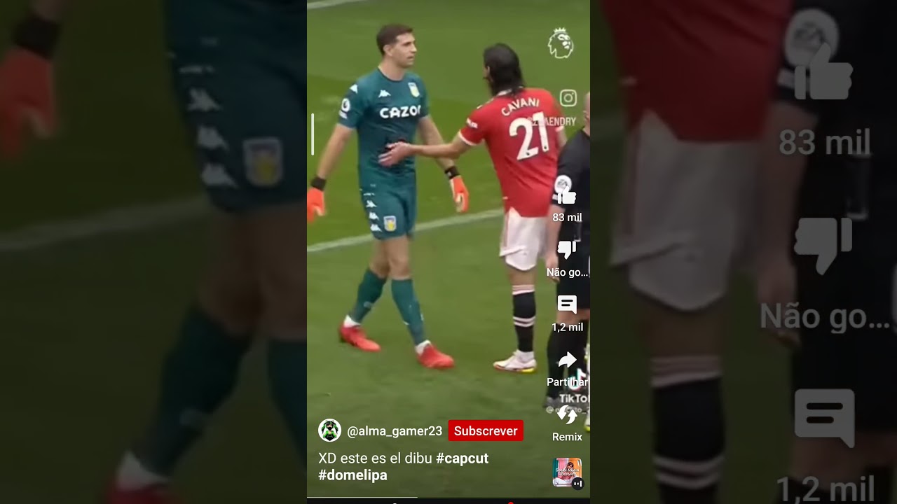 Esse Goleiro e muito Marrent&atilde;o?