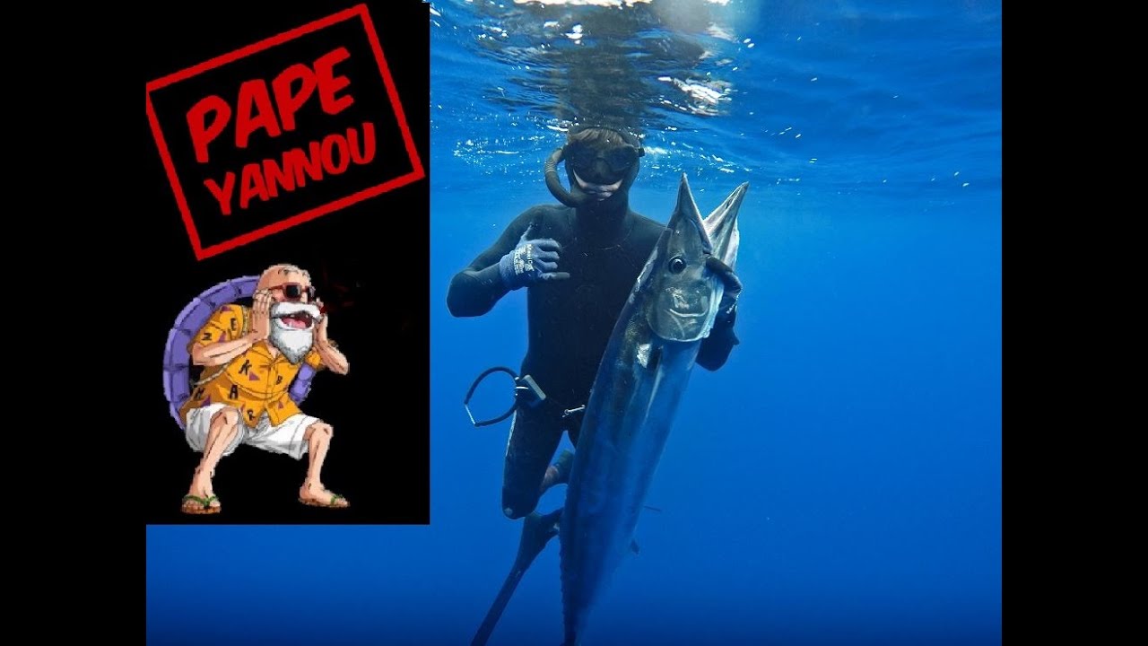 TUTO CHASSE SOUS MARINE #05 ST PAUL ST LEU barracuda tdc thon banane wahoo