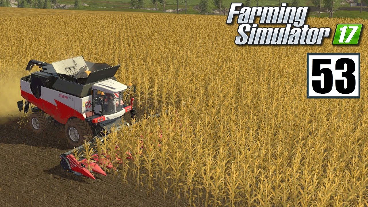 Kupno ogromnego pola - Farming Simulator 17 (#53) | gameplay pl