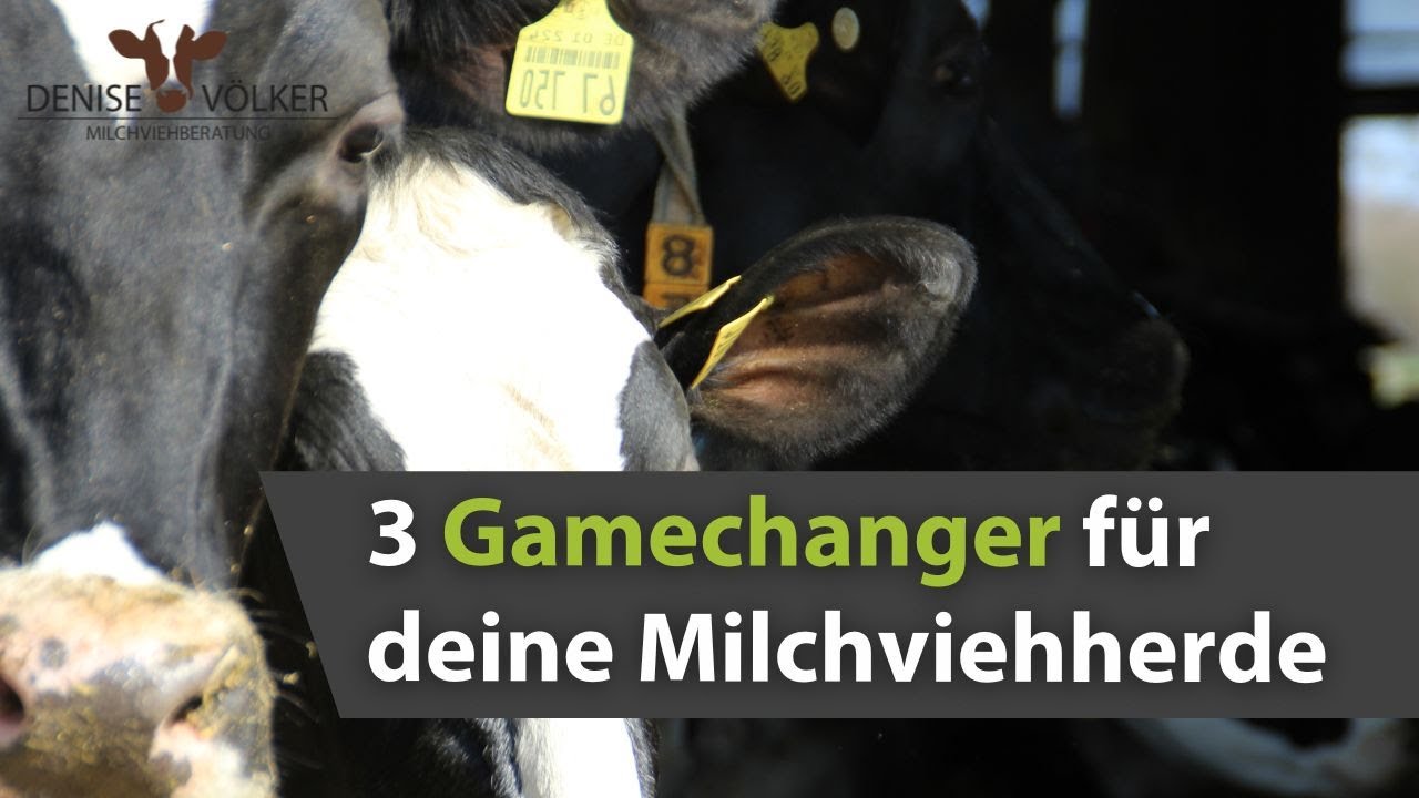 3 Gamechanger für deine Milchviehherde