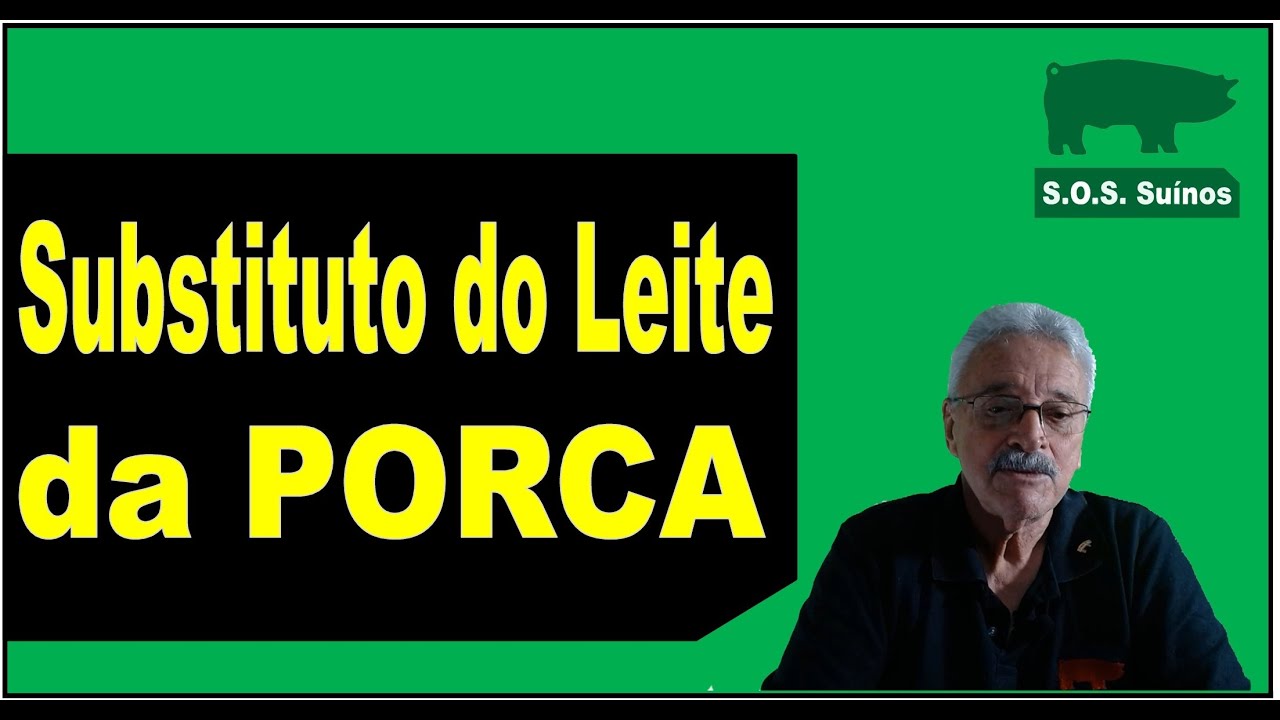 SUINOCULTURA: Substituto do Leite da Porca