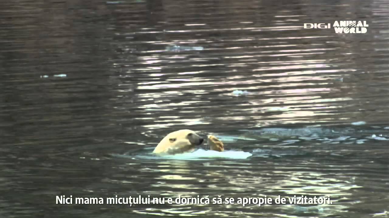 ,,O lume ascunsa