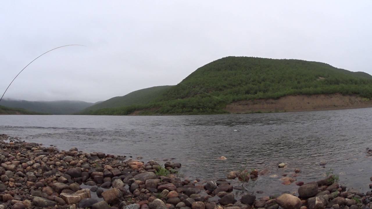 Lohen karkuutus Teno 2016