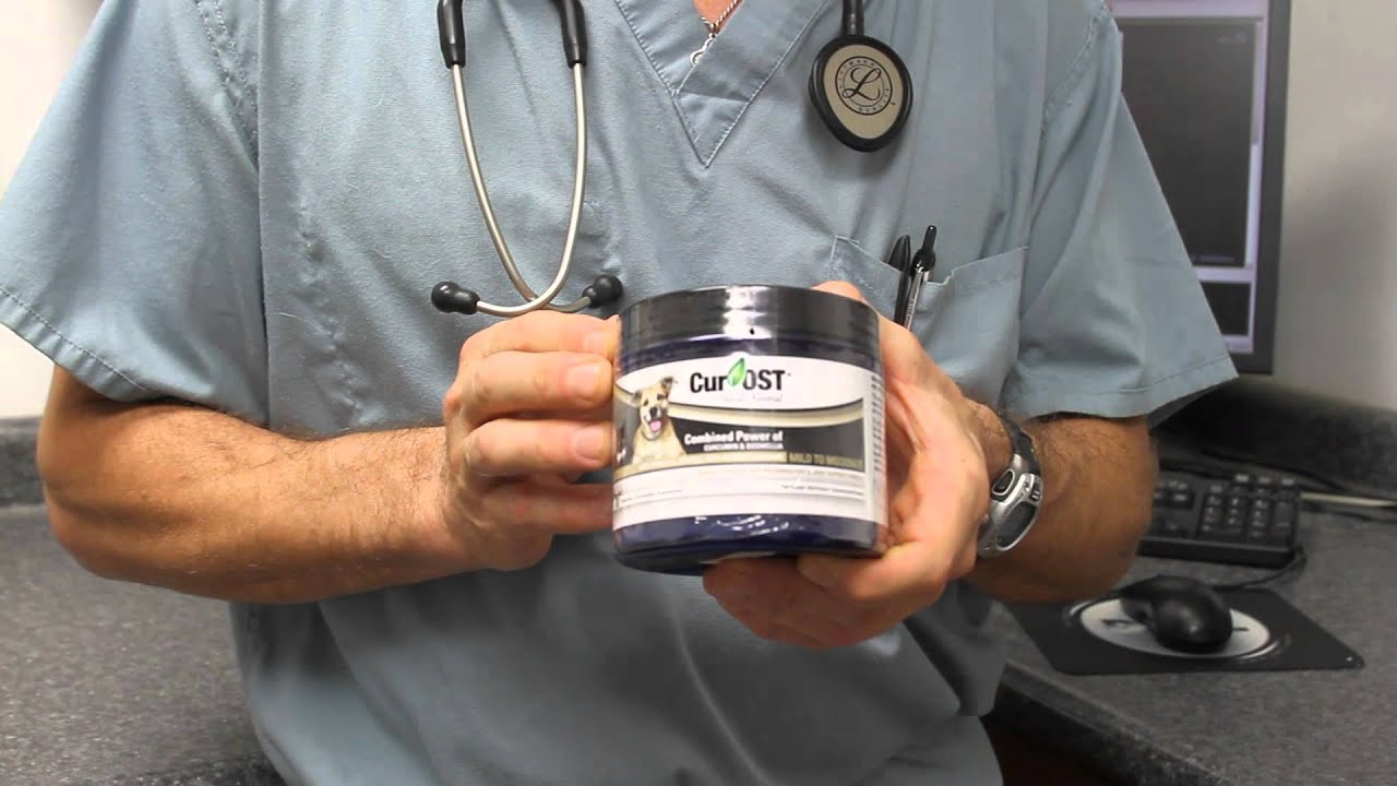 CurOST Anti-inflammatory for  Companion Animals.mp4