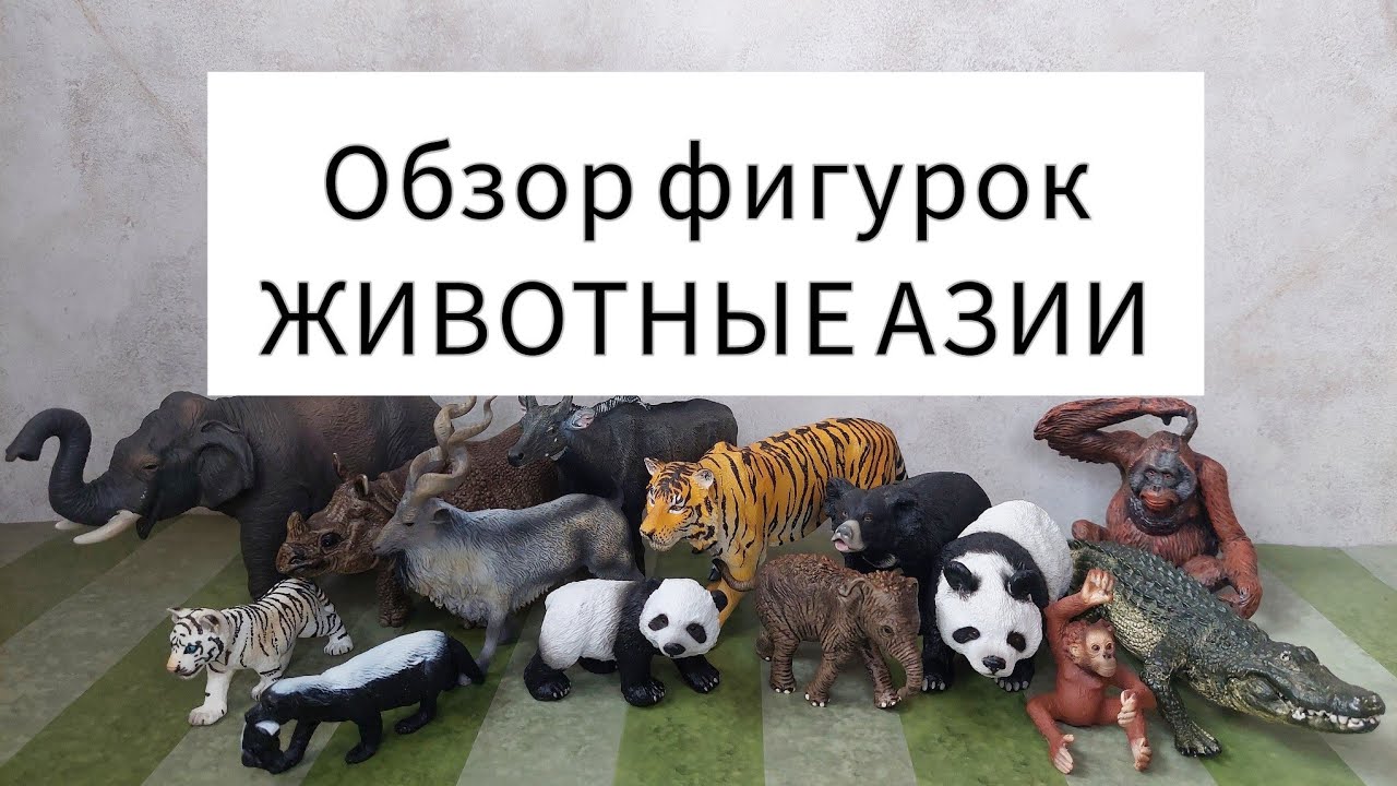 Реалистичные фигурки ЖИВОТНЫХ АЗИИ