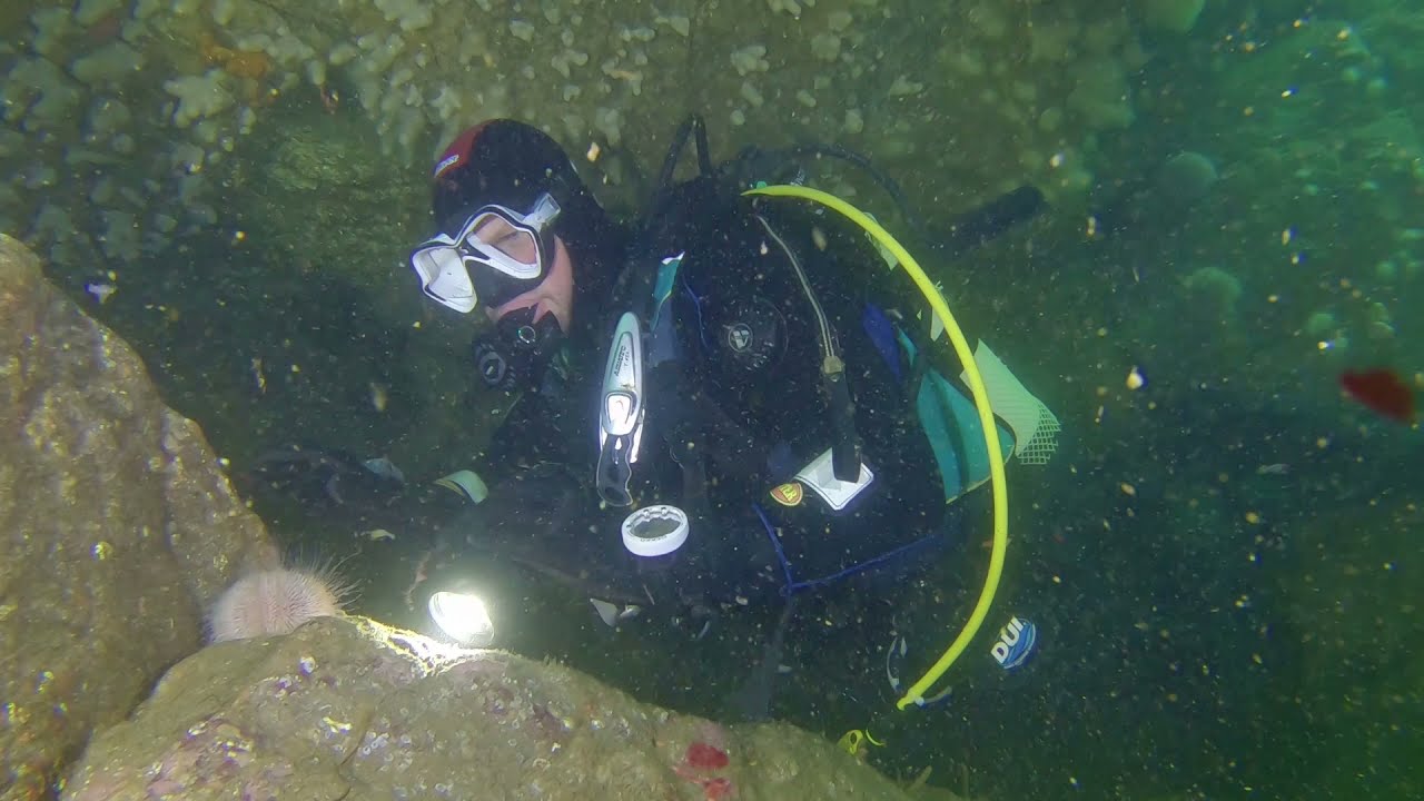 The Gulley of Doom & Diver's Hole, Eyemouth