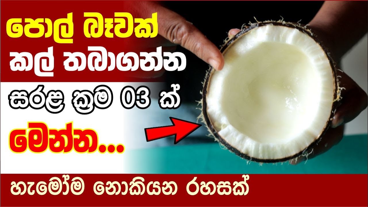 පොල් කල් තබා ගන්න සුපිරි ක්&zwj;රම 03 ක් මෙන්න | Vidunena - විදුනැණ