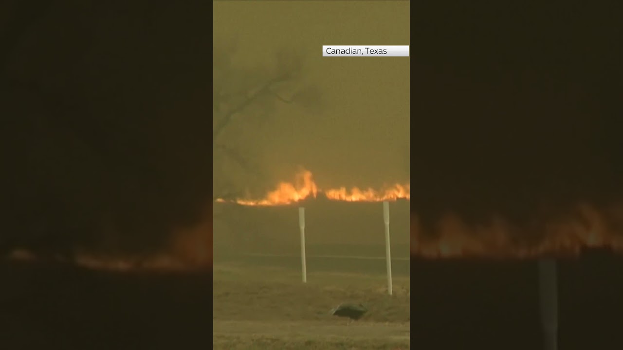 Texas wildfires force nuclear shutdown