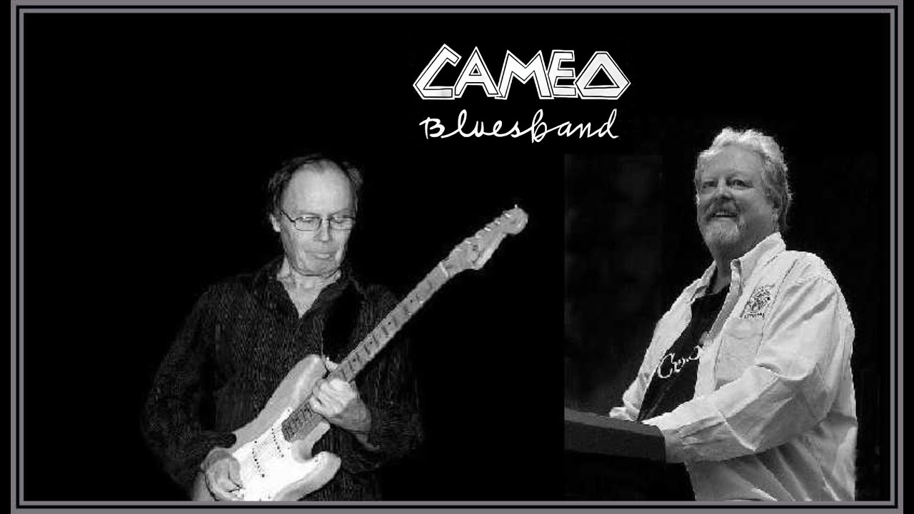 MOTHER NATURE'S BLUES - Dave 'DJ' Bingham & The Cameo Blues Band
