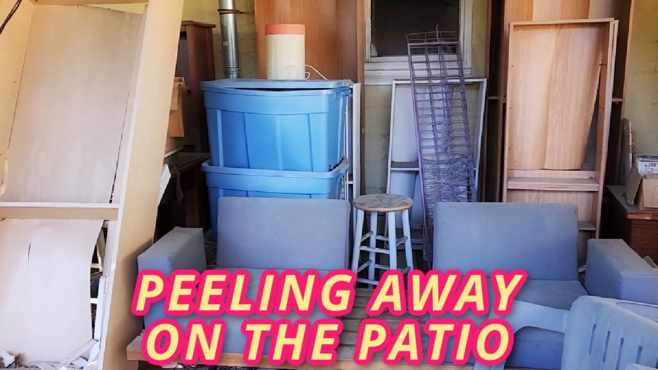 PEELING AWAY ON THE PATIO | We Filled a Dumpster! | Collab with @ABeautifulMessExtremeCle-zl1wp