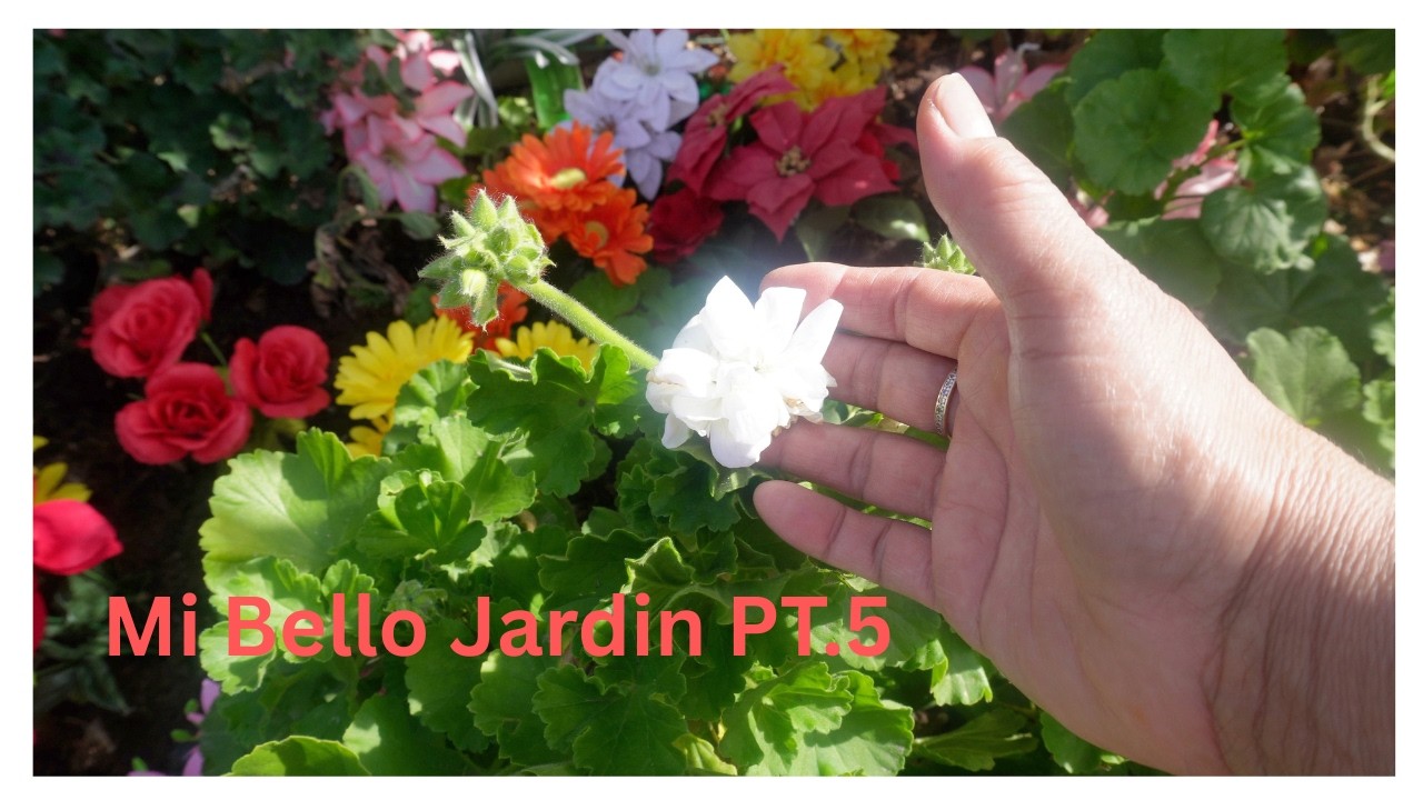Mi Bello Jardin Pt.5