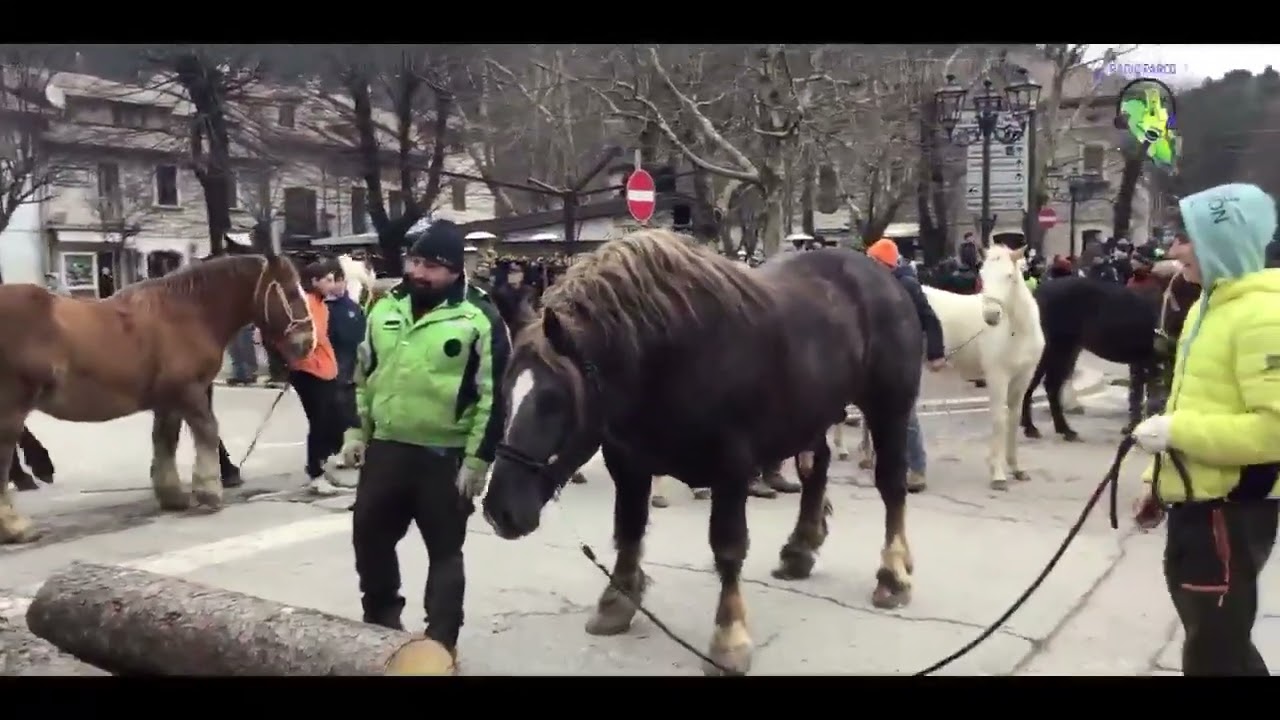 Benedizione degli #animali, festa di Sant’Antonio a #Pescasseroli (AQ), 17/1/‘25
