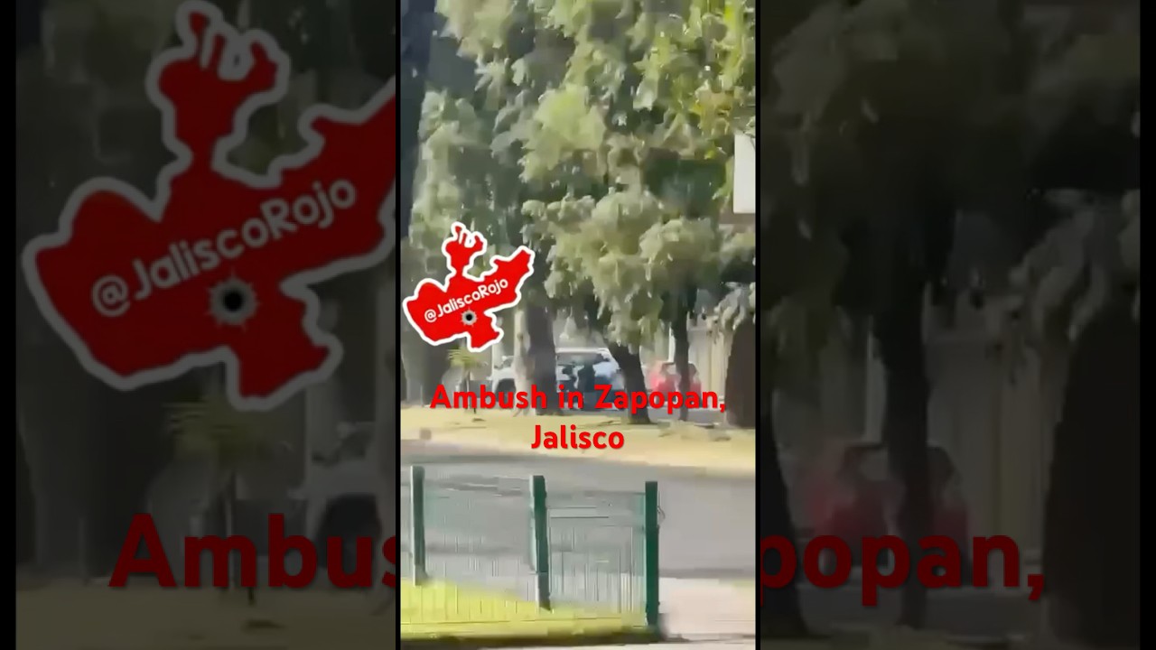 Засада в Сапопане, Халиско #jalisco #news #fyp #mexico #cartel