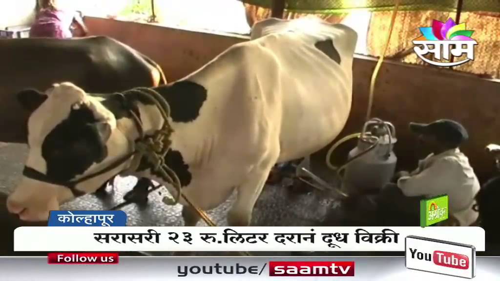 Patil brothers' dairy farming success story