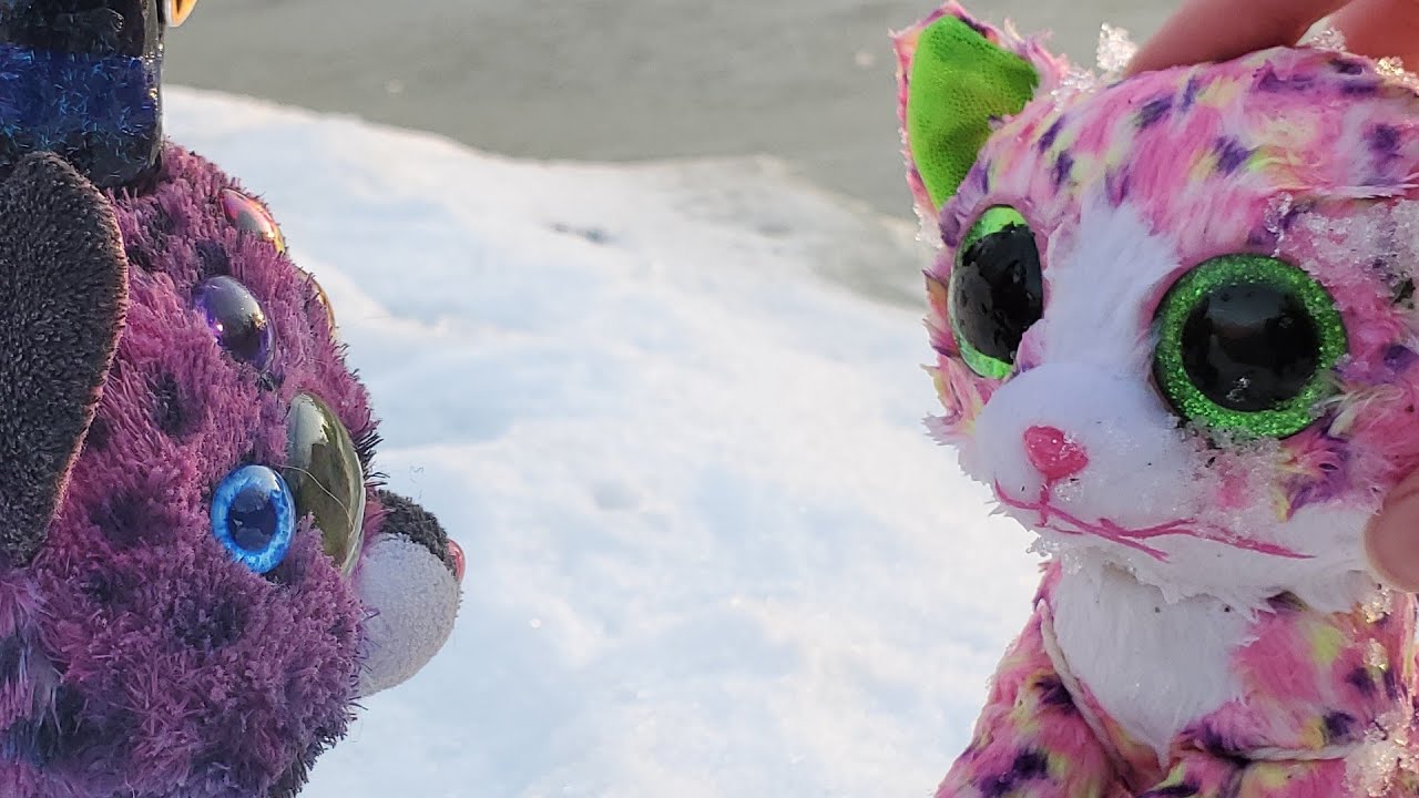 Throwing Beanie Boos on The FROZEN Ohio River 🥶😼