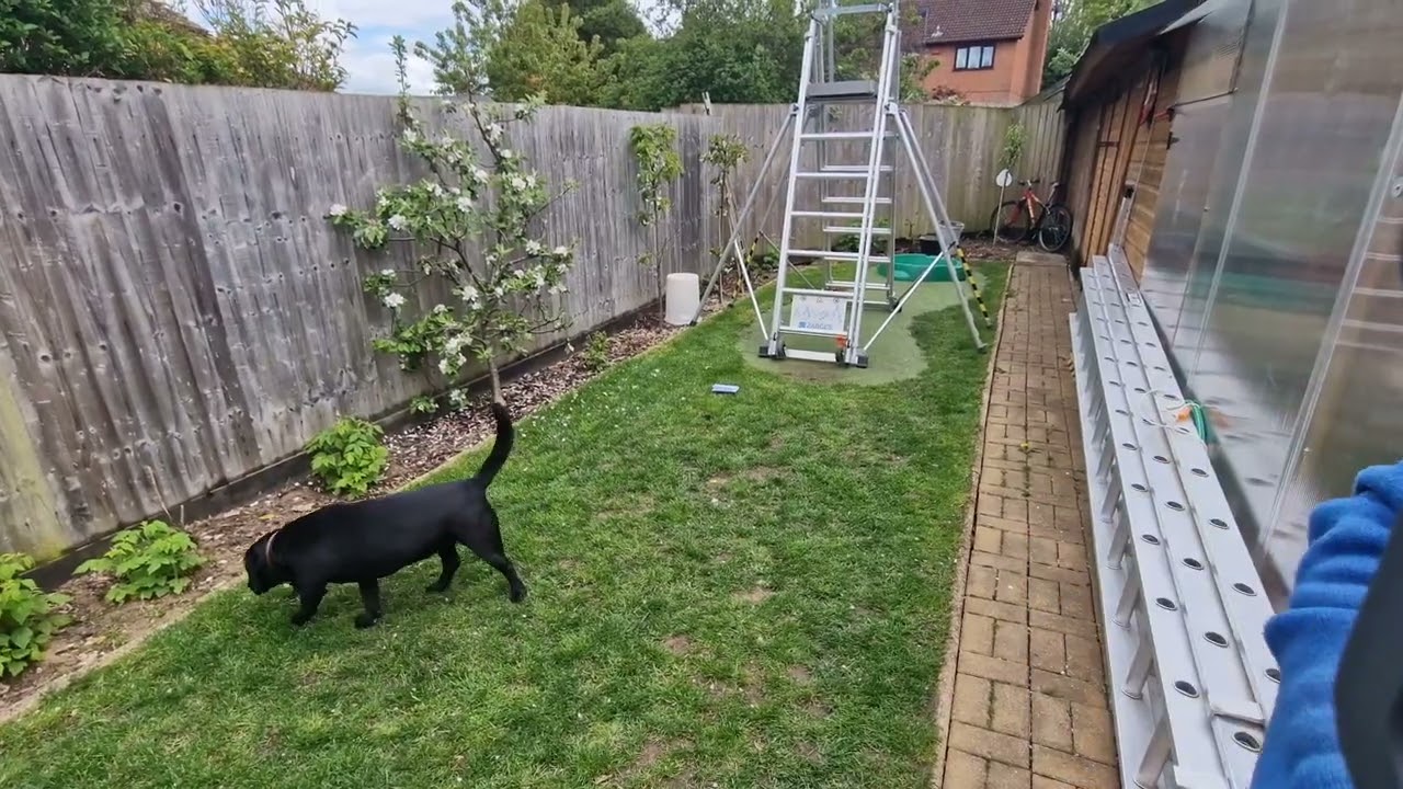 platform ladder zarges zap telemaster review