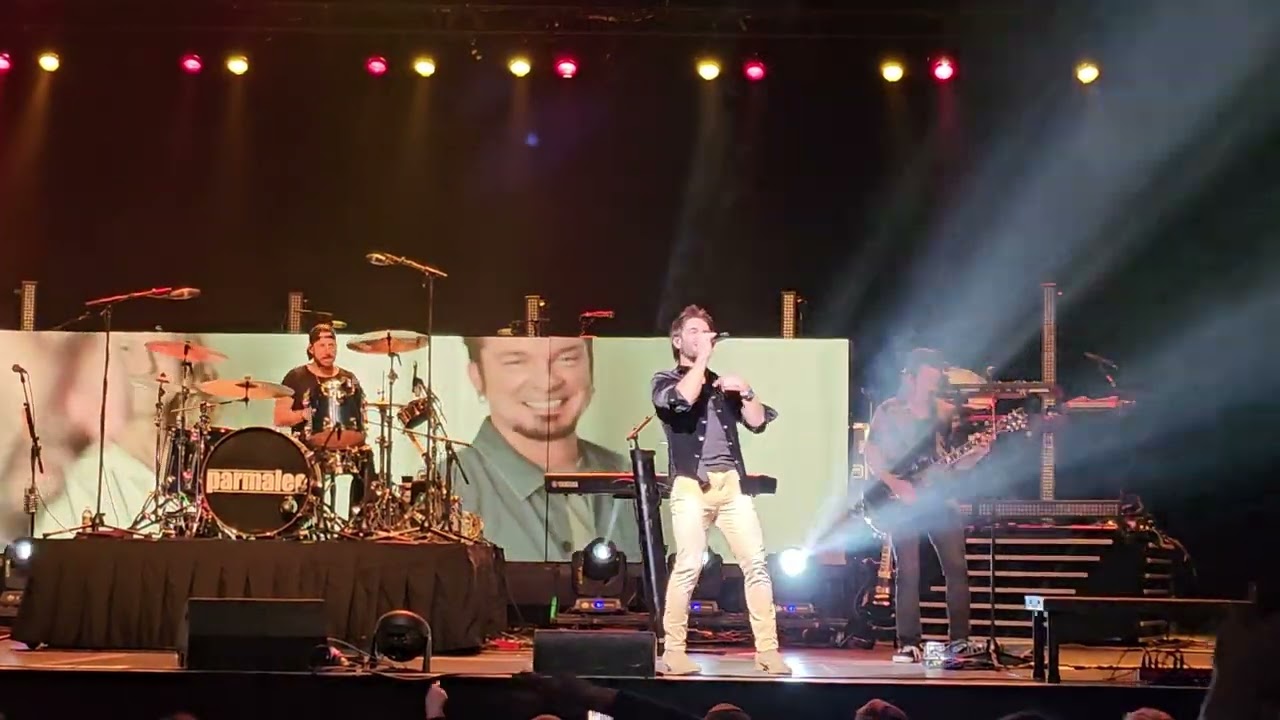 PARMALEE - TAKE MY NAME