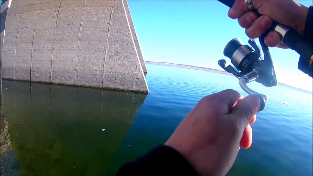 Pesca Lucio Perca - Zander fishing Spain- Embalse de Almendra