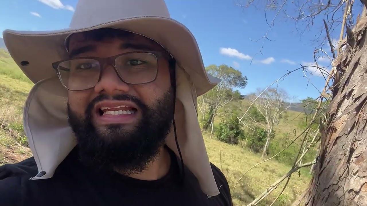 🐝 O sonho de todo meliponicultor: a mandaçaia.muitas capturas e instalações de Iscas 