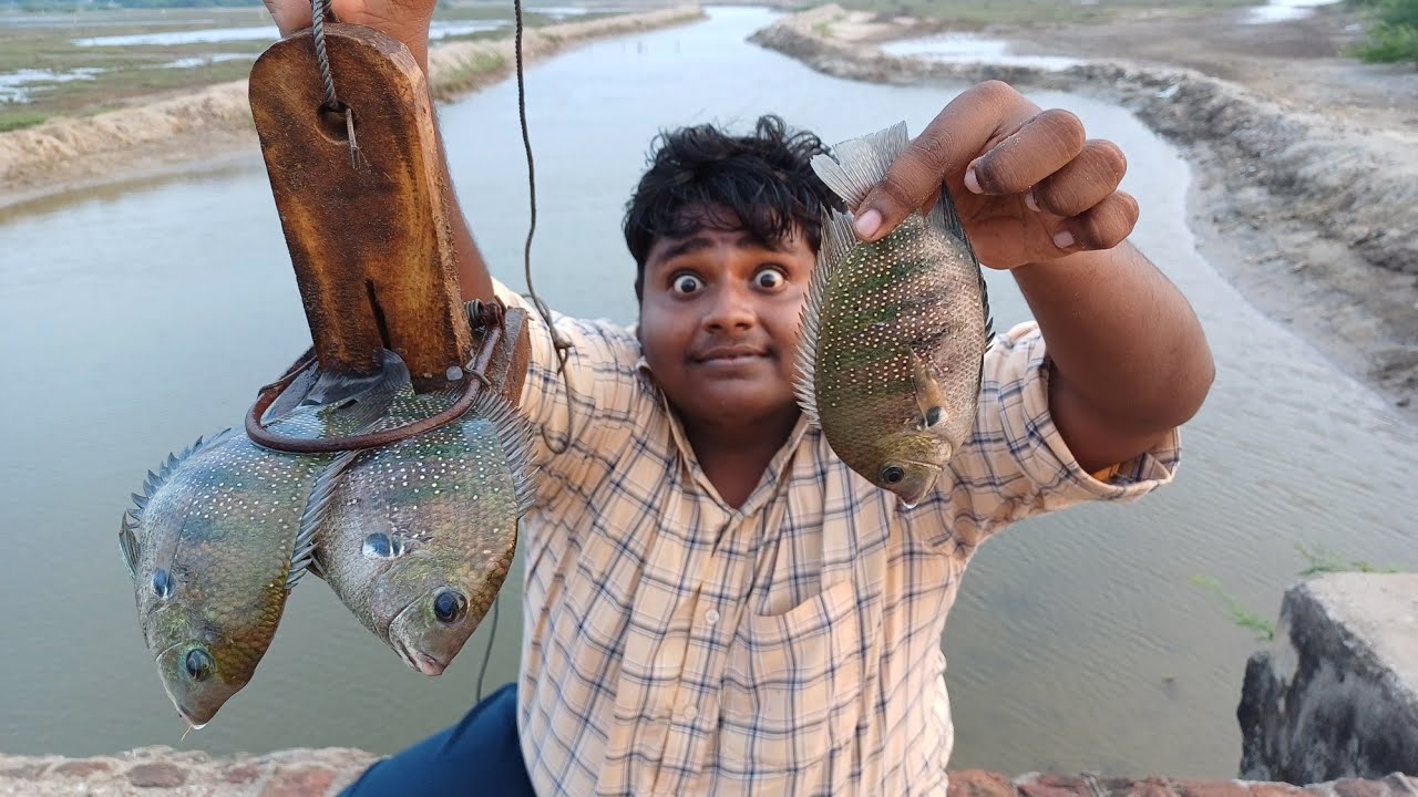 எலி கிட்டி வச்சு மீன் பிடித்து மீன் Burger செய்யலாம்|Fish Hunting with Rat  Trap