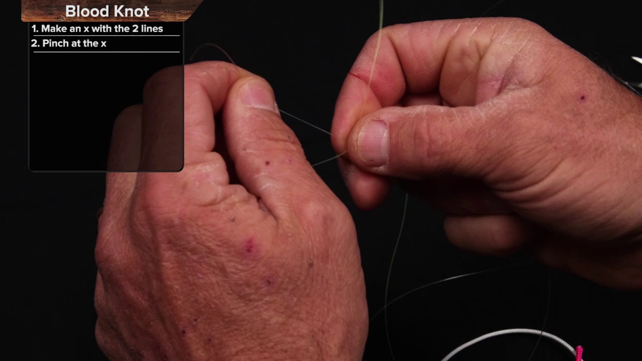 How To Tie The Blood Knot