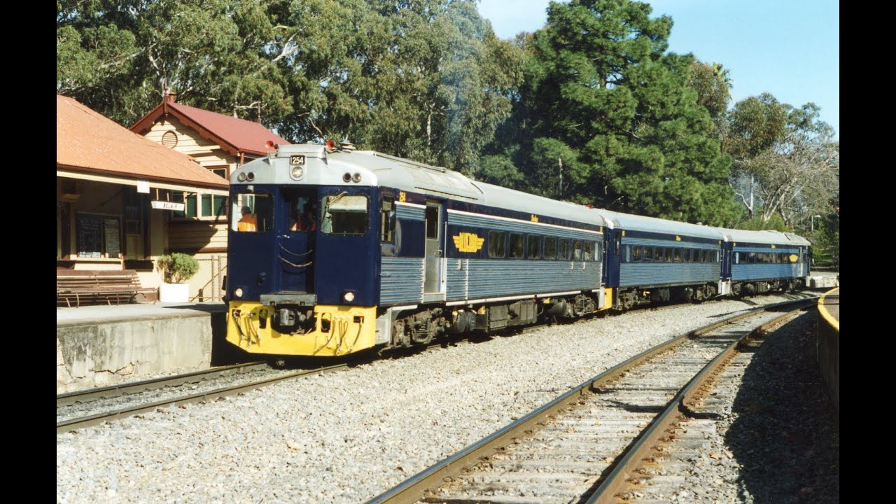Bluebird Railcar Compilation
