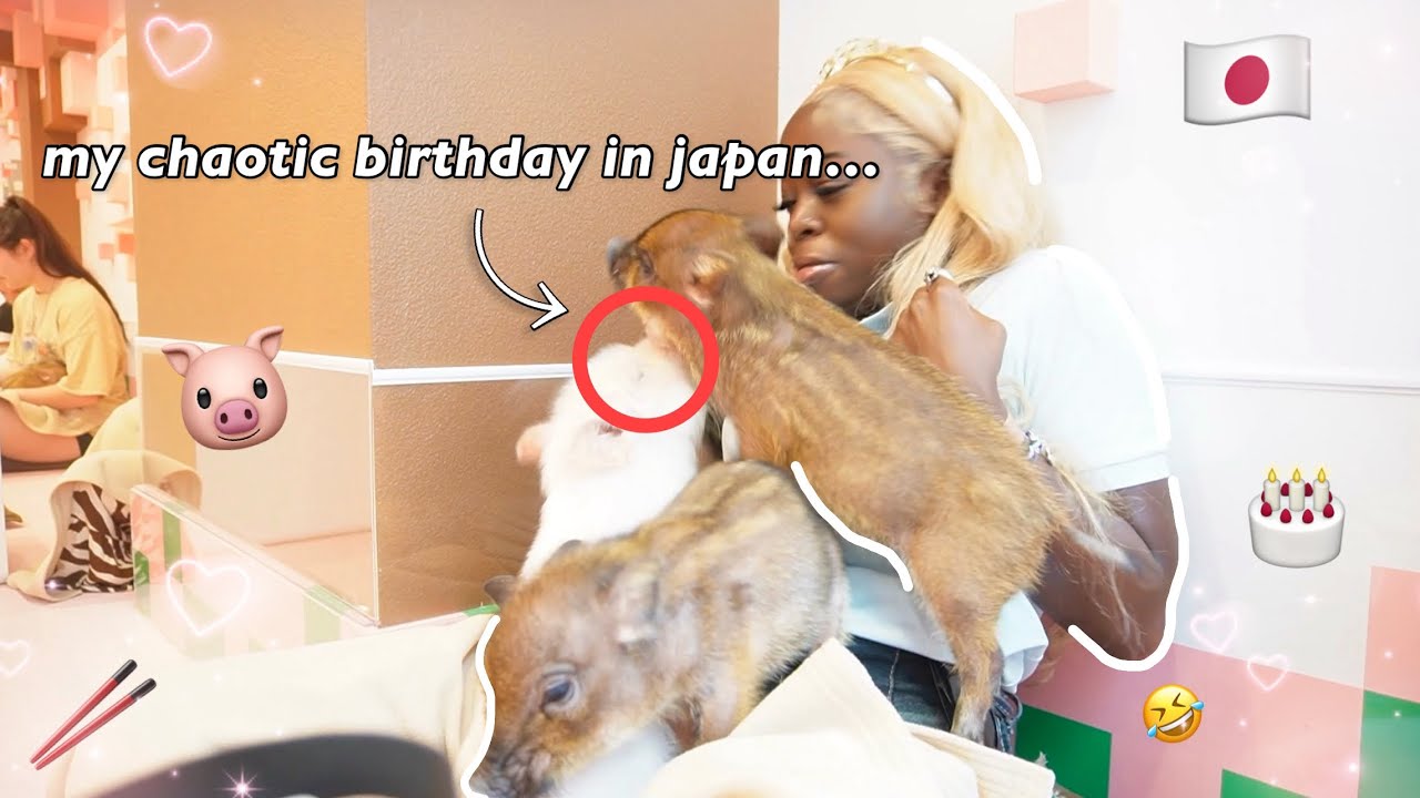 my sweet 16 in tokyo !! but it turned out like this.... (yes those are pigs in my face lol)