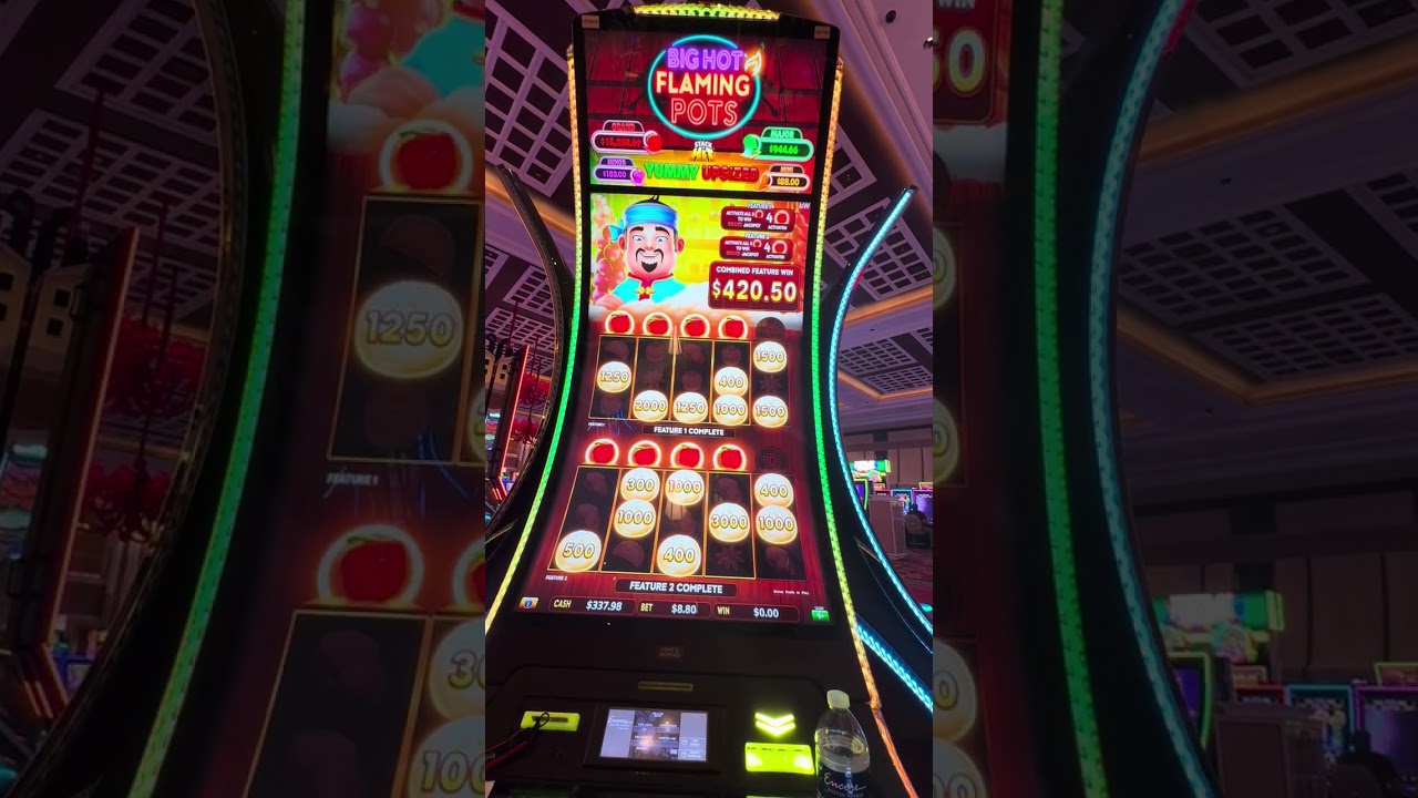 Mr.Lee hot pots slot($8.88 max)
