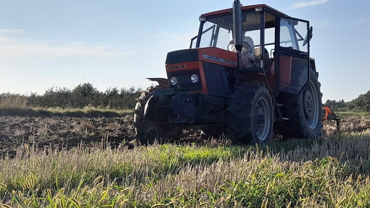 Podorywka Ursusem 1014. Prace po żniwne.