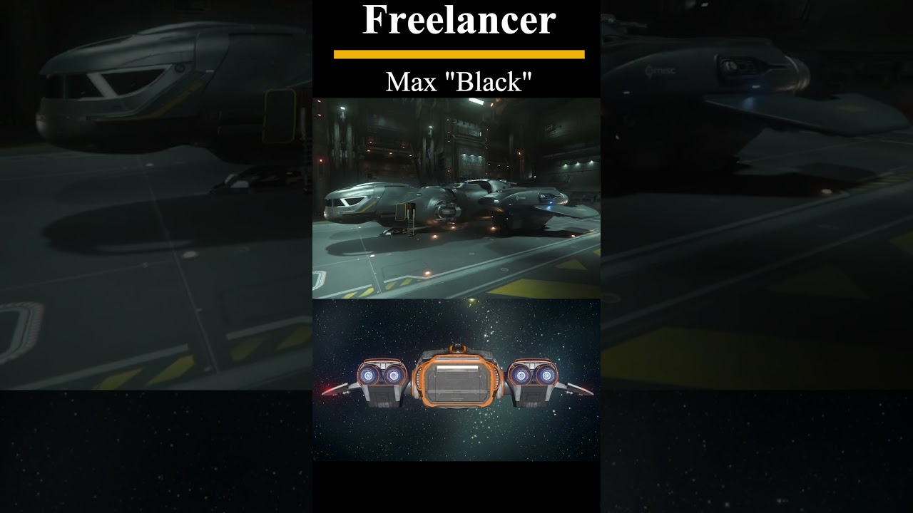 Freelancer Max 