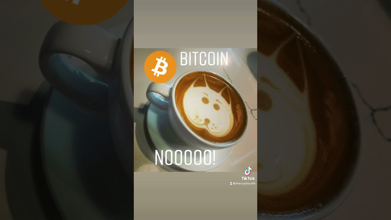 La nueva red social descentralizada TUNEL.APP donde tu te conviertes en una Crypto!