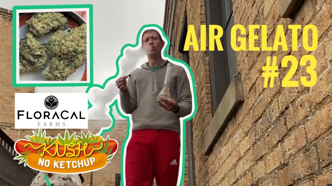 Air Gelato #23 Strain Review