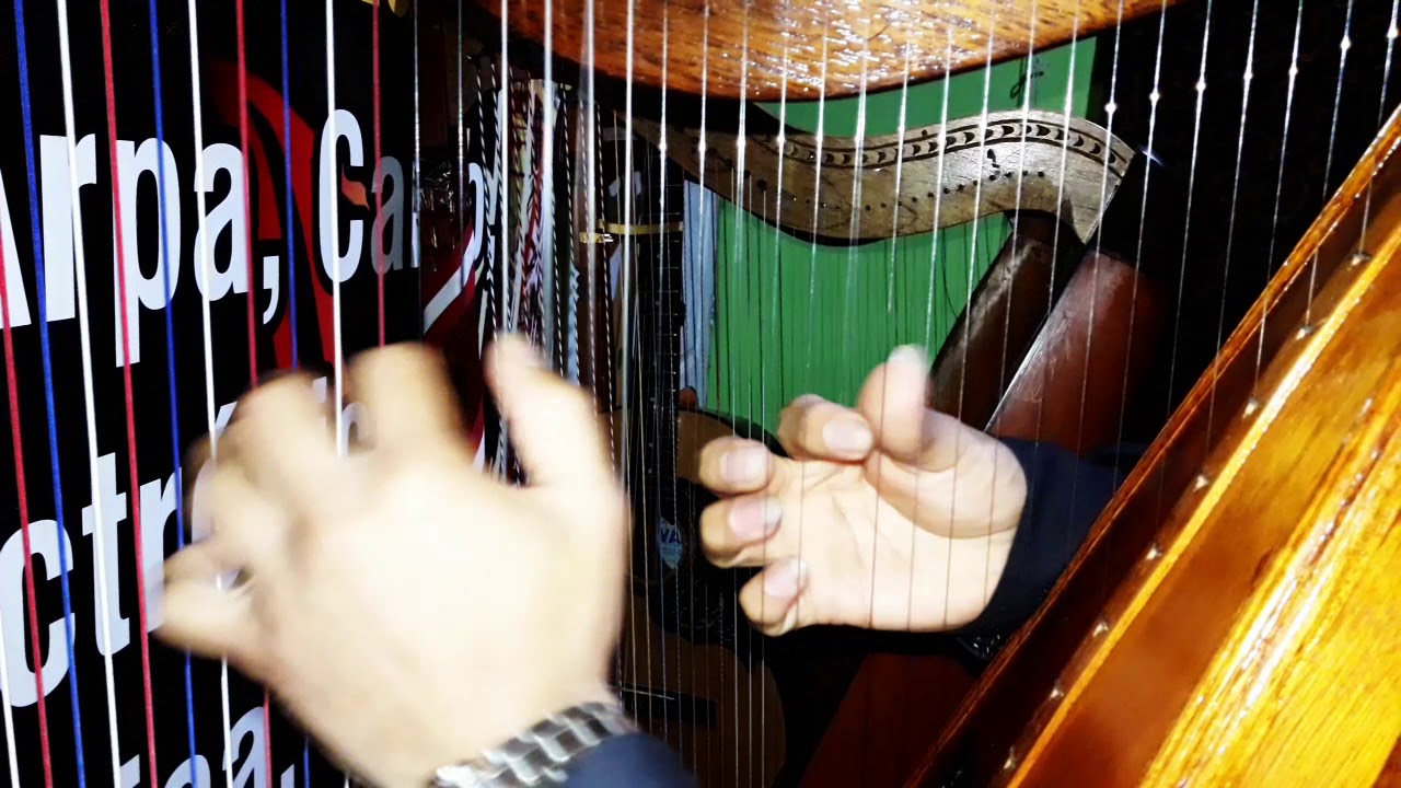 ALICIA DELGADO.  COVER QUILLABAMBINO