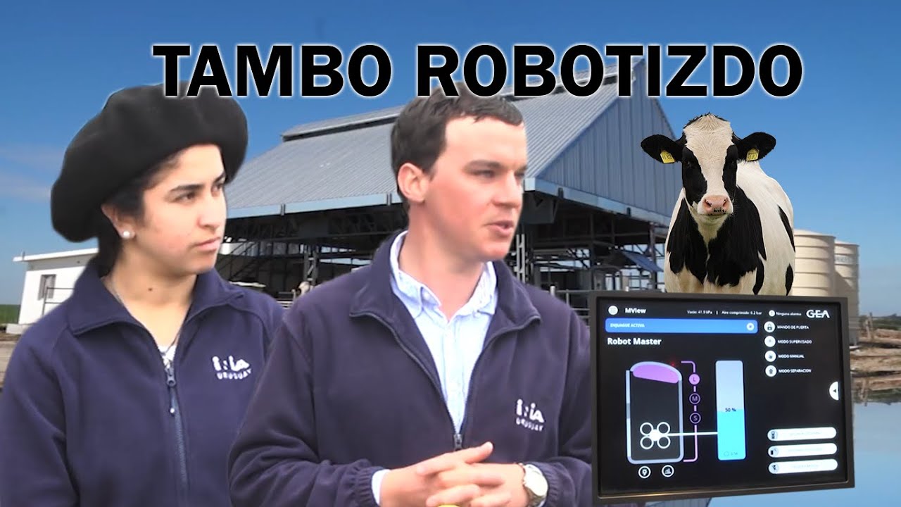 TAMBO ROBOTIZADO | LA ESTANZUELA