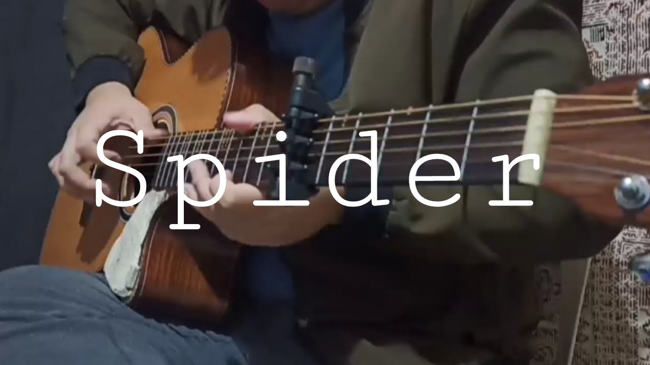 Jinsan Kim/김진산 - Spider | Fingerstyle Cover
