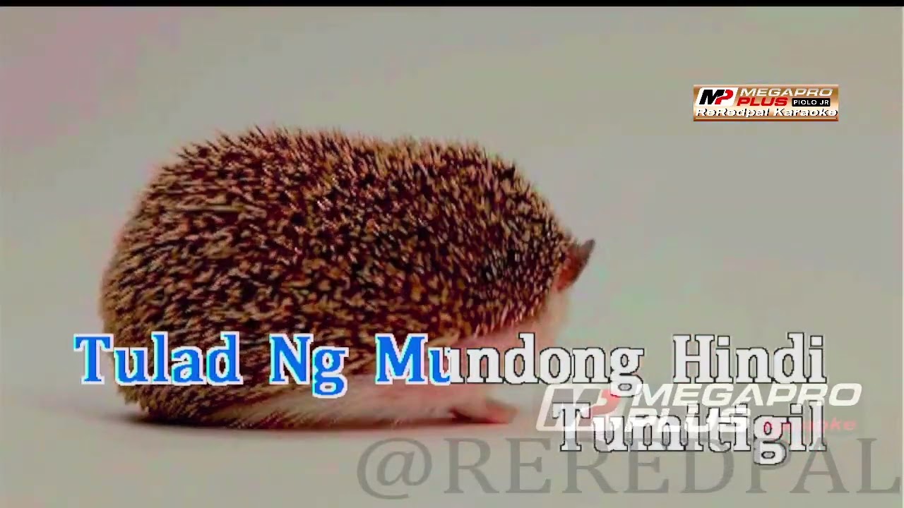 Magbalik - Callalily|| Megapro plus midi karaoke || HDMI UPGRADE RESOLUTION 