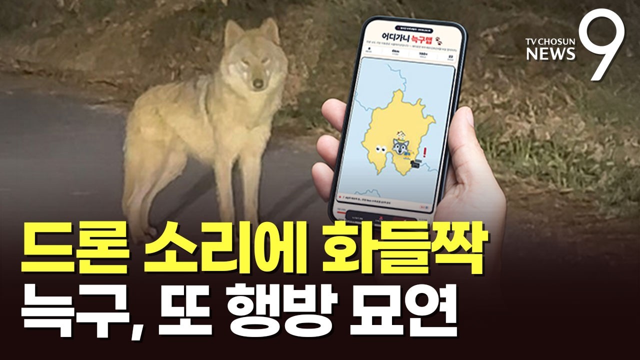 '탈출' 늑구, 제 집 주변 맴돌았다&hellip;실시간 위치추적 지도도 등장 [뉴스9]